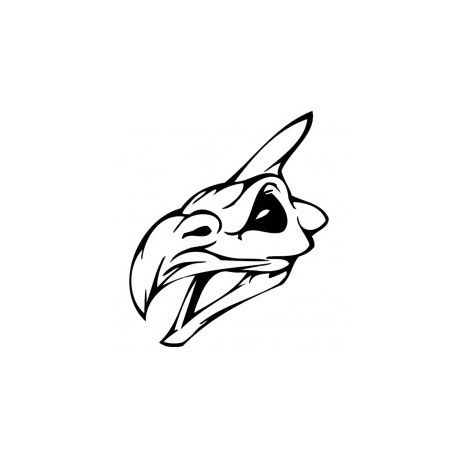 طرح جمجمه ترسناک سر پرنده 0 - horror skull bird head 012 - برای دستگاه CNC چوب و لیزر (سی ان سی)