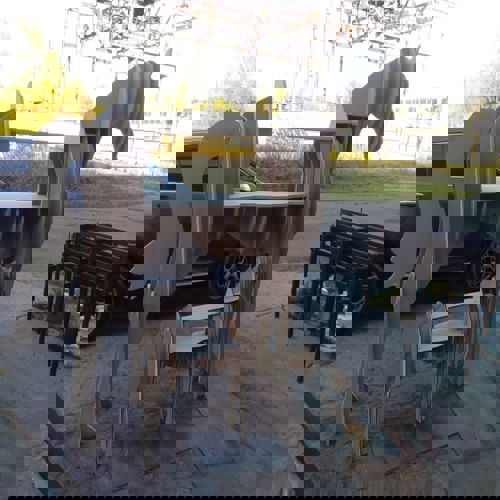 طرح قفسه اسب برای برش لیزری - horse shelve layout for laser cut - برای دستگاه CNC چوب و لیزر (سی ان سی)