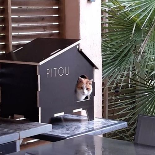 طرح خانه گربه بچه گربه برای برش لیزری - kitty cat house for laser cut - برای دستگاه CNC چوب و لیزر (سی ان سی)