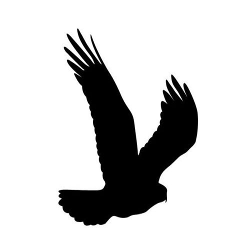 طرح برش لیزری عقاب طاس مشکی شبح - laser cut bald eagle black silhouette - برای دستگاه CNC چوب و لیزر (سی ان سی)