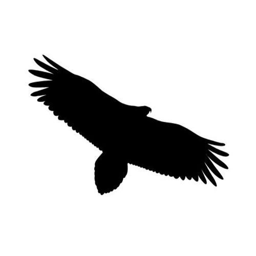 طرح برچسب وینیل طرح عقاب برش لیزری قاب - laser cut eagle silhouette vinyl sticker - برای دستگاه CNC چوب و لیزر (سی ان سی)
