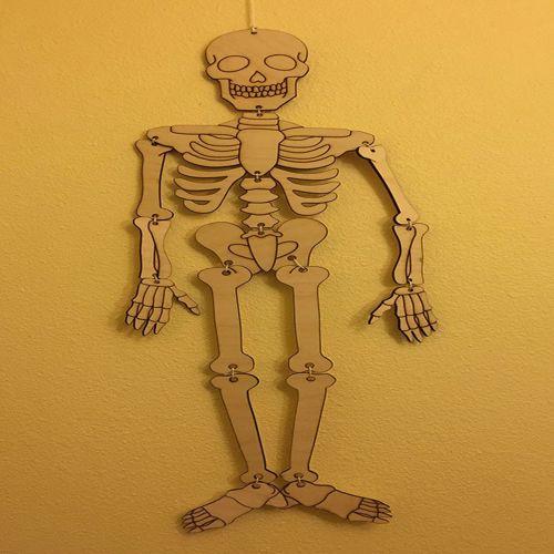 طرح برش اسکلت اسکلت با لیزر - laser cut skeleton ve - برای دستگاه CNC چوب و لیزر (سی ان سی)