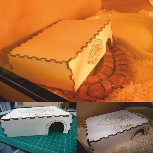 طرح برش لیزری خانه مار خانه - laser cut snake house - برای دستگاه CNC چوب و لیزر (سی ان سی)