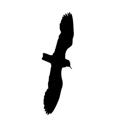 طرح برش لیزری عقاب پرنده شبح برچسب - laser cut soaring eagle bird silhouette decal sticker - برای دستگاه CNC چوب و لیزر (سی ان سی)