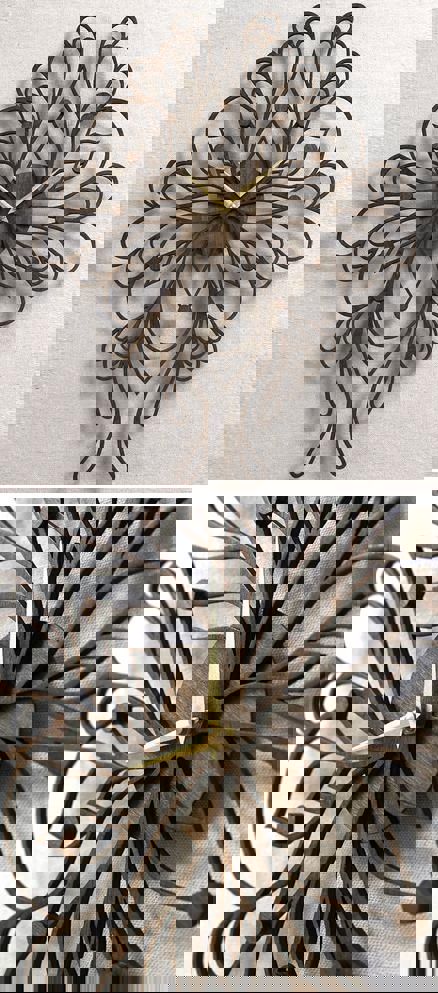 طرح ساعت برش لیزری تزئینی وی ای - ornate laser cut clock ve - برای دستگاه CNC چوب و لیزر (سی ان سی)