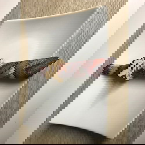 طرح تخته سه لا جا دستمال حلقه برش لیزری - plywood napkin holder ring laser cutting ve - برای دستگاه CNC چوب و لیزر (سی ان سی)