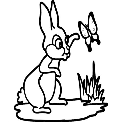 طرح خرگوش و پروانه - rabbit and butterfly - برای دستگاه CNC چوب و لیزر (سی ان سی)