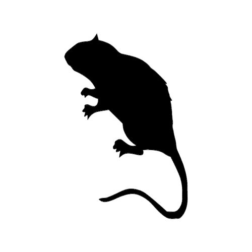 طرح موش سیلوئت سایه - rat silhouette - برای دستگاه CNC چوب و لیزر (سی ان سی)