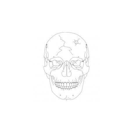 طرح جمجمه ساده - skull simple - برای دستگاه CNC چوب و لیزر (سی ان سی)