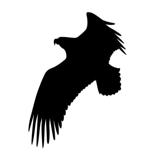 طرح عقاب پرنده درحال پرواز سیلوئت برچسب وینیل برچسب - soaring eagle bird silhouette decal vinyl sticker - برای دستگاه CNC چوب و لیزر (سی ان سی)