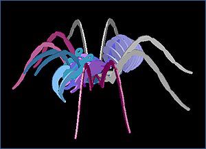 طرح عنکبوت اسپین - spider spinne - برای دستگاه CNC چوب و لیزر (سی ان سی)