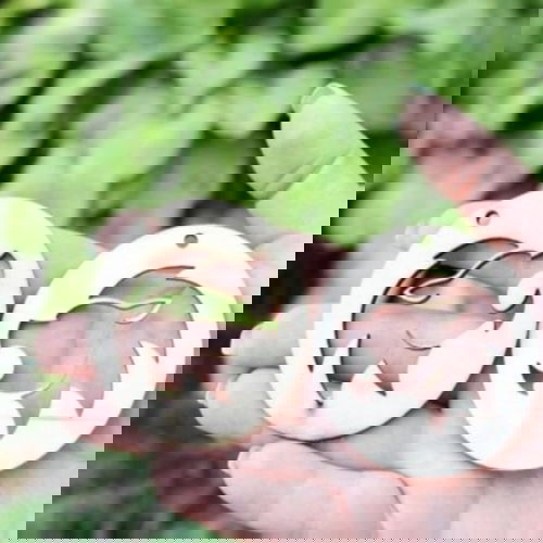 طرح گوشواره آویز گوشواره زودیاک تخته الیاف لیزر - zodiac earring pendant plywood laser cut - برای دستگاه CNC چوب و لیزر (سی ان سی)