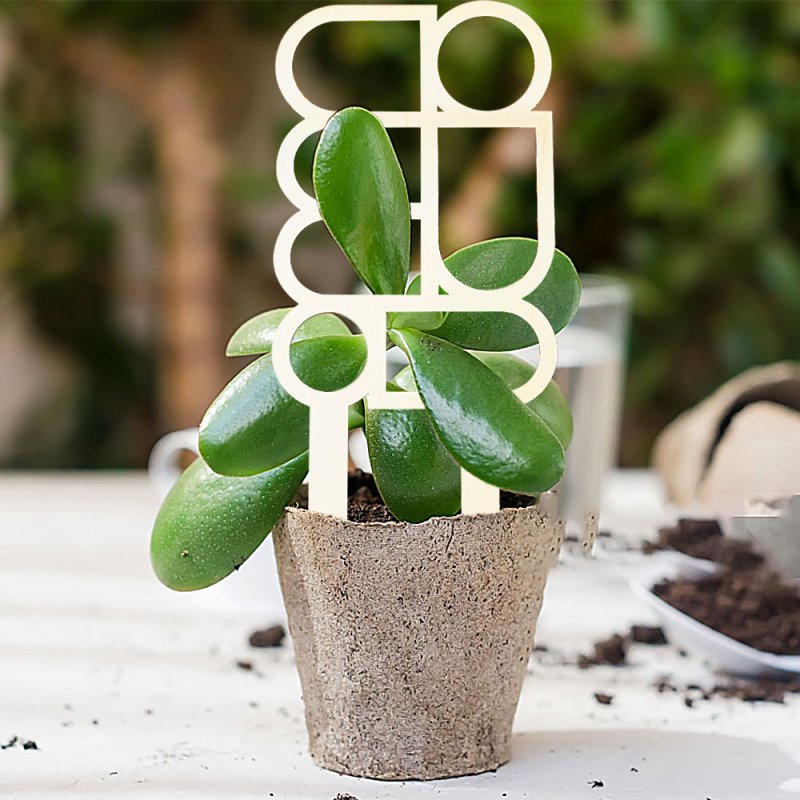 طرح داربست برای گیاهان آپارتمانی، تکیه‌گاه گیاهان رونده مناسب برای استفاده در دستگاه های cnc چوب و cnc لیزر - laser cut indoor plant trellis climbing plants support