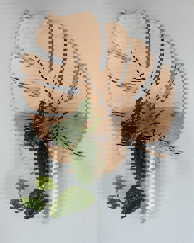 طرح کاشت دیواری به شکل برگ بوهمی ، قفسه گیاه دیواری چوبی برای تکثیر مناسب برای استفاده در دستگاه های cnc چوب و cnc لیزر - laser cut bohemian leaf shaped wall planter wooden wall mounted plant rack for propagation