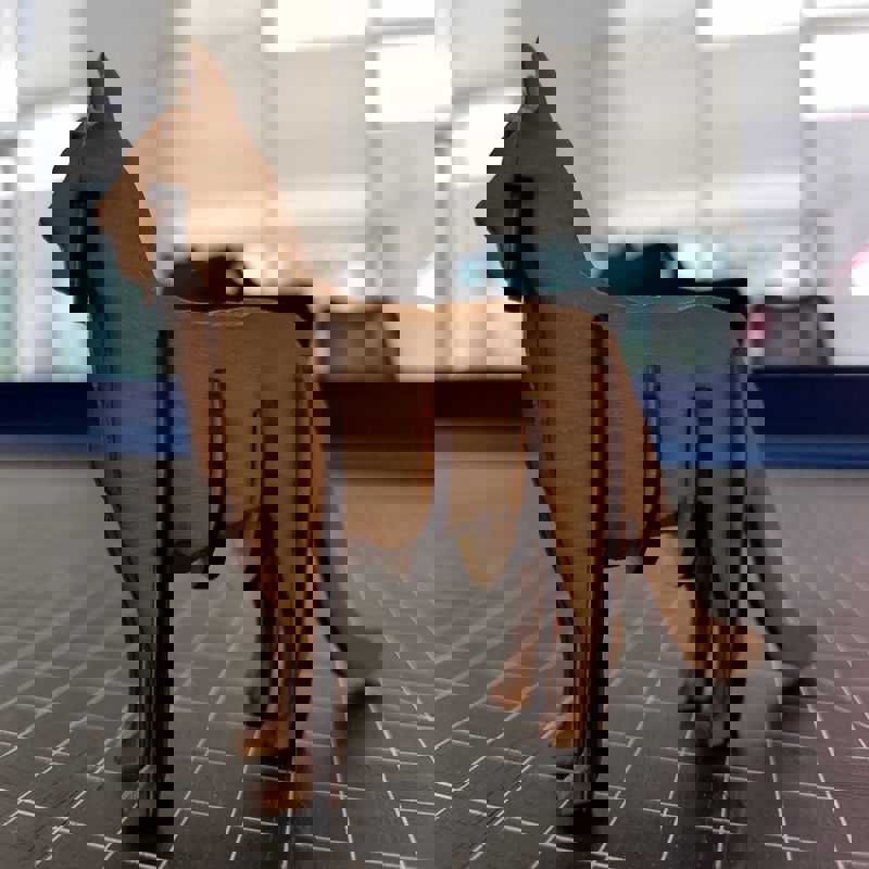 طرح پازل سه بعدی گربه مناسب برای استفاده در دستگاه های cnc چوب و cnc لیزر - laser cut cat 3d puzzle ai file