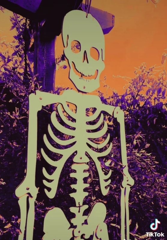 طرح اسکلت هالووین مناسب برای استفاده در دستگاه های cnc چوب و cnc لیزر - laser cut halloween skeleton dxf file