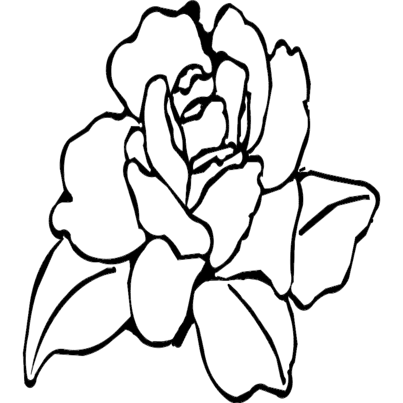 طرح گل رز مناسب برای استفاده در دستگاه های cnc چوب و cnc لیزر - flower rose dxf file