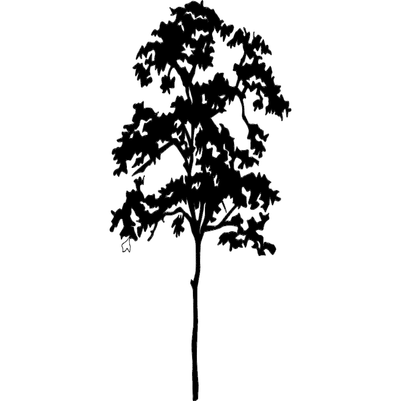 طرح درخت سیلوئت مناسب برای استفاده در دستگاه های cnc چوب و cnc لیزر - tree silhouette dxf file