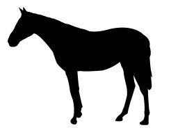 طرح سیلوئت اسب ایستاده مناسب برای استفاده در دستگاه های cnc چوب و cnc لیزر - horse standing silhouette dxf file