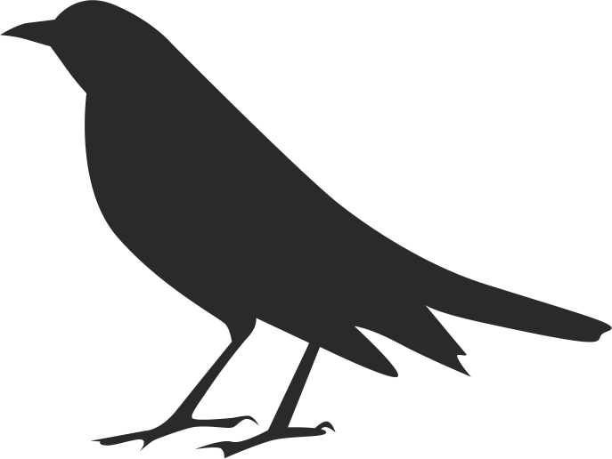 طرح سیلوئت کلاغ هالووین مناسب برای استفاده در دستگاه های cnc چوب و cnc لیزر - halloween crow silhouette cdr file