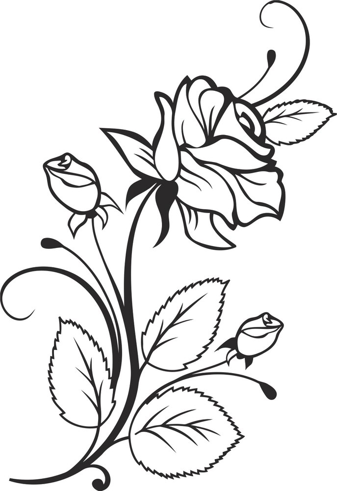 طرح با طرح وکتور گل رز مناسب برای استفاده در دستگاه های cnc چوب و cnc لیزر - rose vector design cdr file