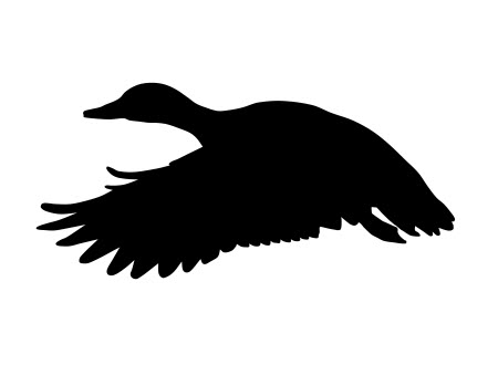 طرح اردک ۱ مناسب برای استفاده در دستگاه های cnc چوب و cnc لیزر - duck 1 dxf file
