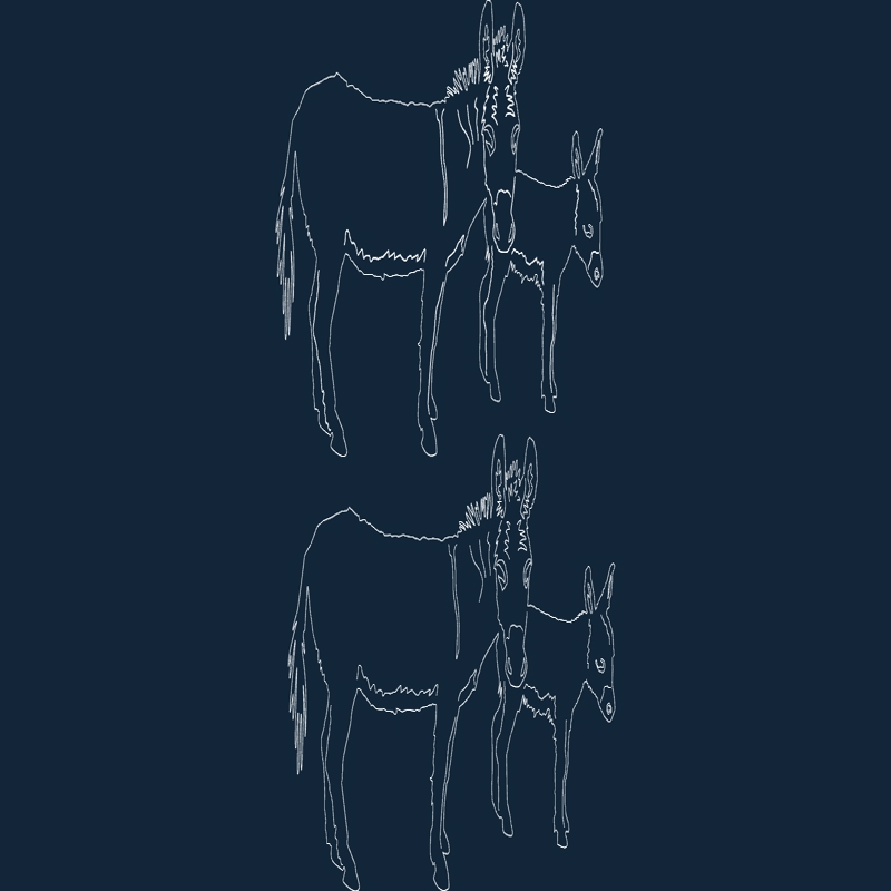 طرح الاغ حیوانات مناسب برای استفاده در دستگاه های cnc چوب و cnc لیزر - animal donkeys dxf file