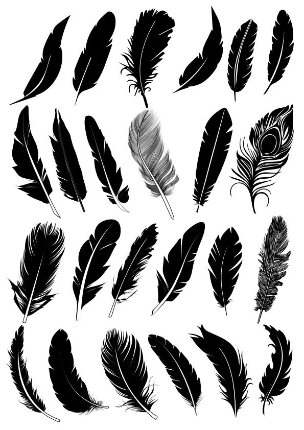 طرح مجموعه وکتور پرهای سیاه مناسب برای استفاده در دستگاه های cnc چوب و cnc لیزر - black feather vector collection cdr file