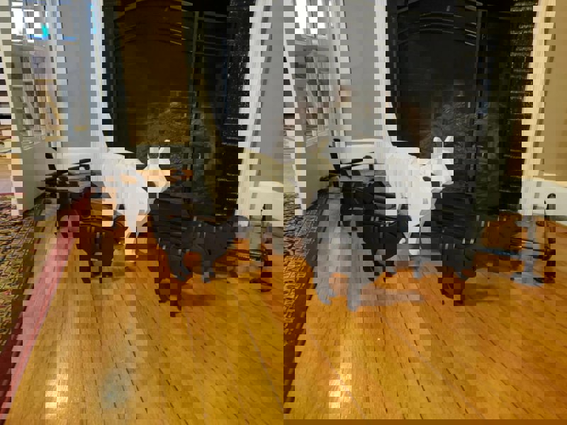 طرح و پازل چوبی سه بعدی گربه مناسب برای استفاده در دستگاه های cnc چوب و cnc لیزر - laser cut cat 3d wooden puzzle svg file