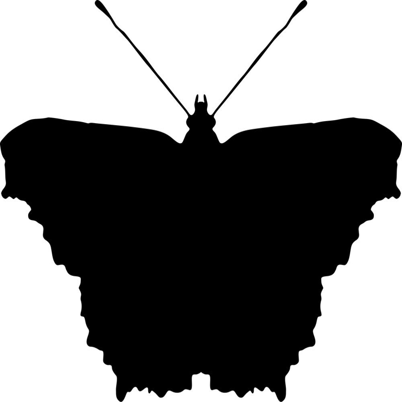طرح فایل ai پروانه سیاه مناسب برای استفاده در دستگاه های cnc چوب و cnc لیزر - black butterfly ai file