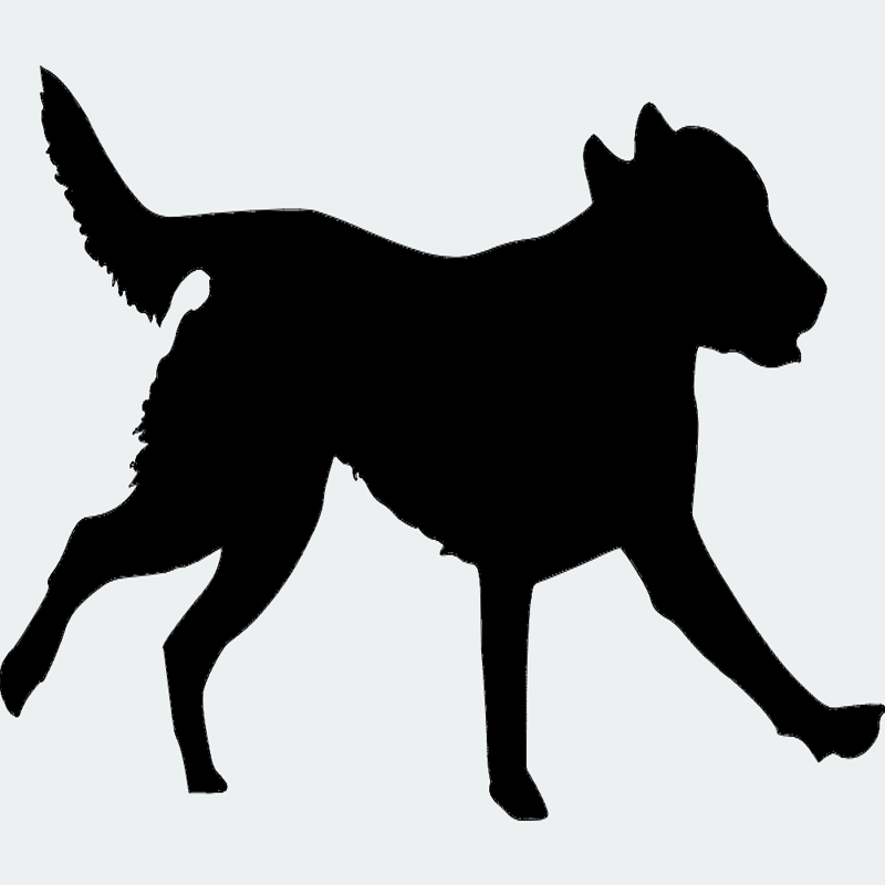 طرح سگ لابرادور رتریور 00 1 مناسب برای استفاده در دستگاه های cnc چوب و cnc لیزر - labrador retriever 00 1 dxf file