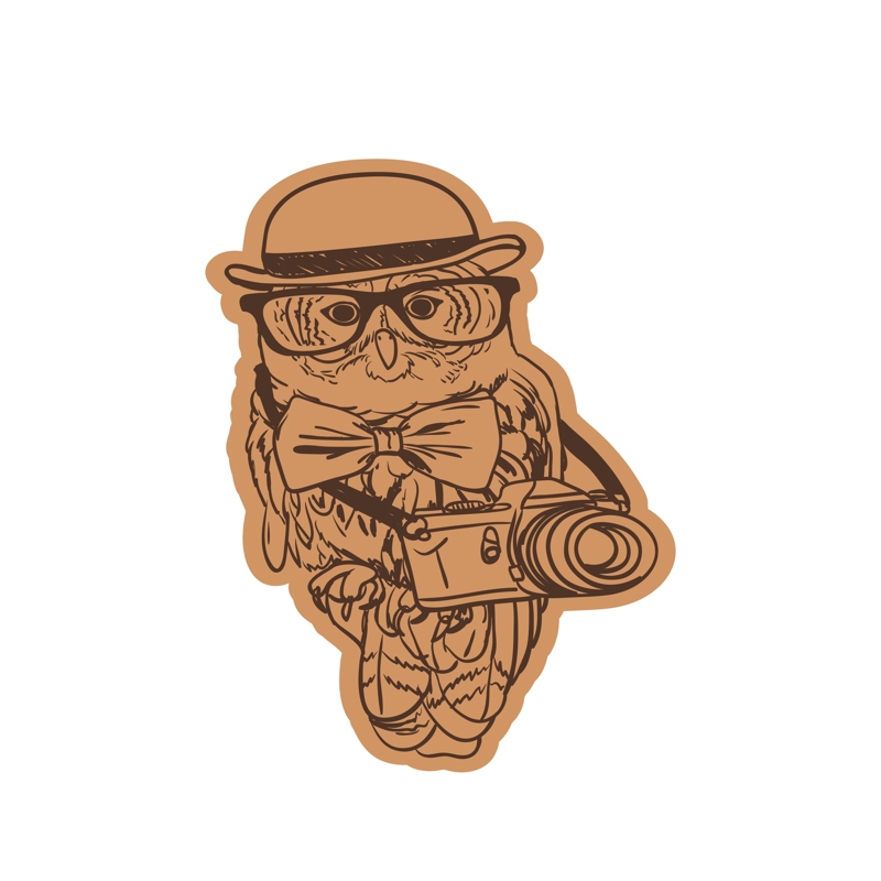 طرح جغد با کلاه و دوربین و عینک، مناسب برای استفاده در دستگاه های cnc چوب و cnc لیزر - owl wearing cap with camera and glasses laser cut engraving template cdr file