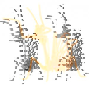طرح فایل dwg پازل سه بعدی مانتیس مناسب برای استفاده در دستگاه های cnc چوب و cnc لیزر - mantis 3d puzzle dwg file