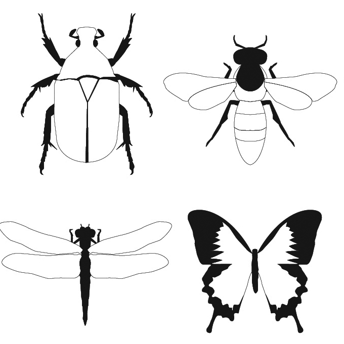 طرح پروانه مگس حشره مناسب برای استفاده در دستگاه های cnc چوب و cnc لیزر - bug fly butterfly dxf file