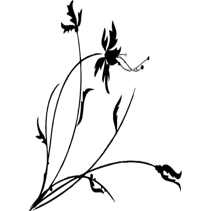طرح گل مناسب برای استفاده در دستگاه های cnc چوب و cnc لیزر - flowers dxf file