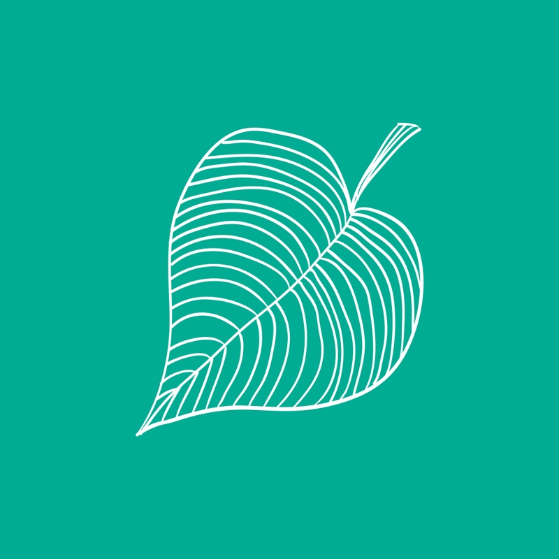 طرح برگ گل مناسب برای استفاده در دستگاه های cnc چوب و cnc لیزر - flower leaf dxf file