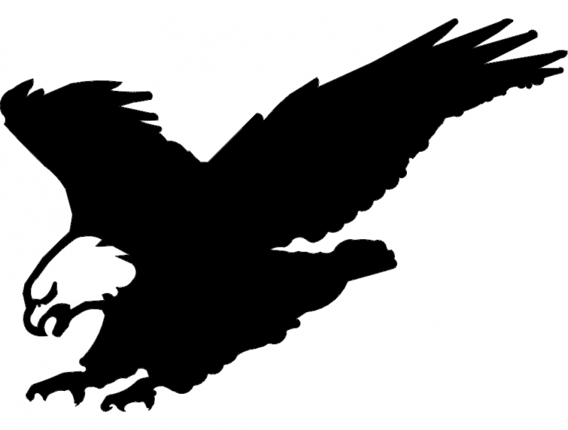 طرح فرود هواپیمای امریکن ایگل مناسب برای استفاده در دستگاه های cnc چوب و cnc لیزر - american eagle landing dxf file