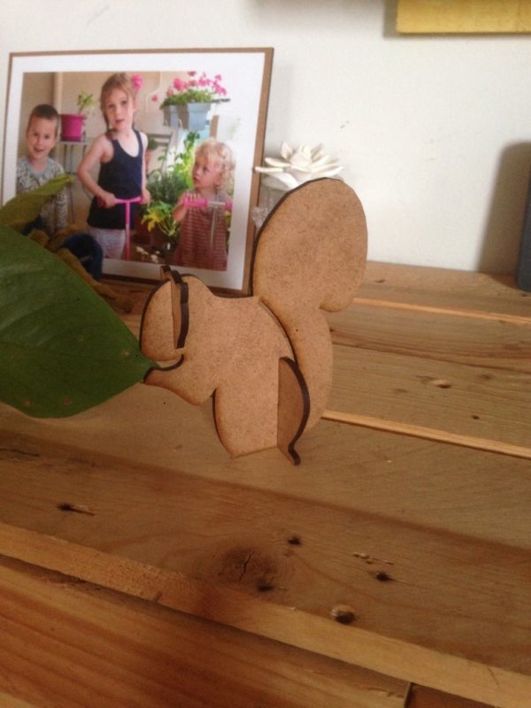 طرح سنجاب مناسب برای استفاده در دستگاه های cnc چوب و cnc لیزر - laser cut squirrel