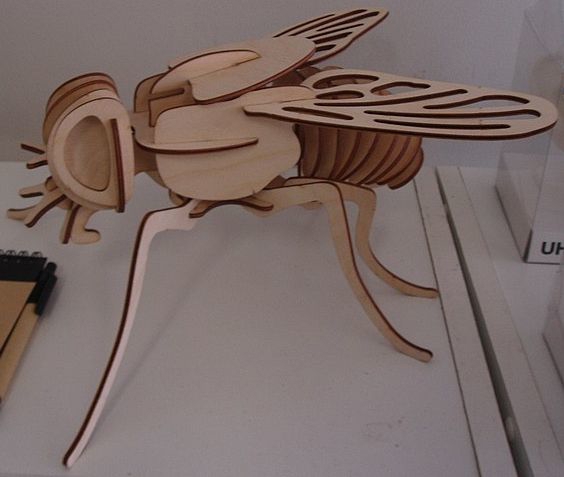 طرح مدل سه بعدی مگس چوبی مناسب برای استفاده در دستگاه های cnc چوب و cnc لیزر - wooden fly 3d model laser cut template cdr file