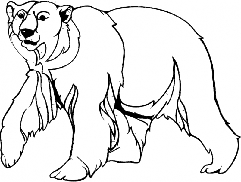 طرح خرس ۲ مناسب برای استفاده در دستگاه های cnc چوب و cnc لیزر - bear 2 dxf file