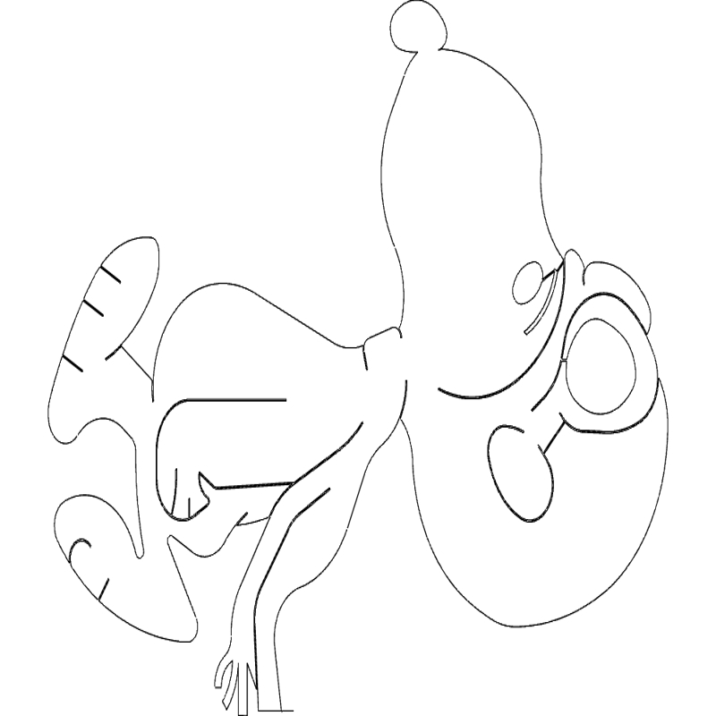 طرح کارتون اسنوپی مناسب برای استفاده در دستگاه های cnc چوب و cnc لیزر - snoopy cartoon dxf file