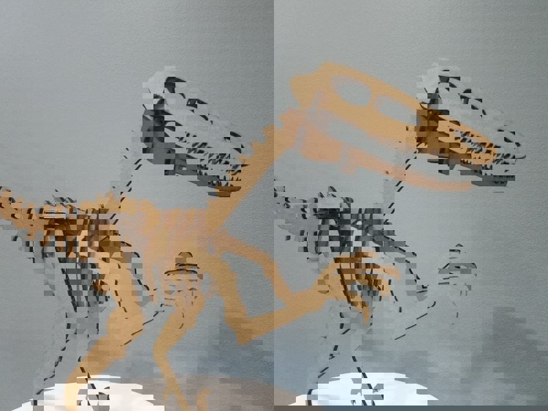 طرح پازل سه بعدی ولوسیراپتور مناسب برای استفاده در دستگاه های cnc چوب و cnc لیزر - laser cut velociraptor 3d puzzle dxf file