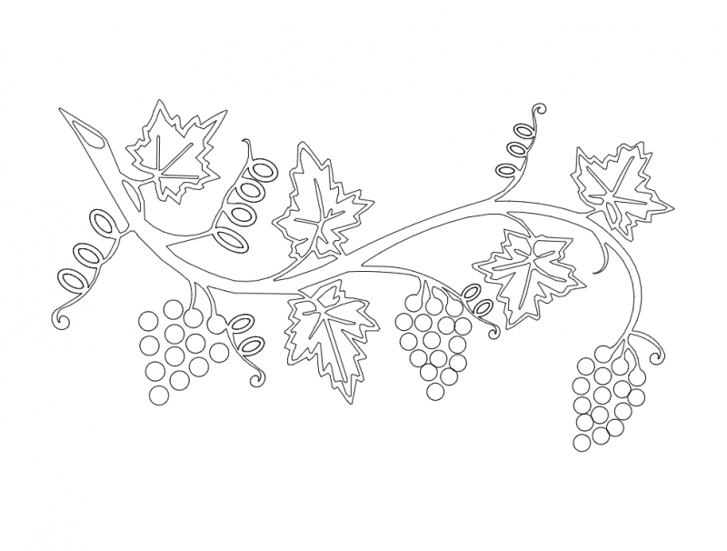 طرح درخت انگور مناسب برای استفاده در دستگاه های cnc چوب و cnc لیزر - grape vine dxf file