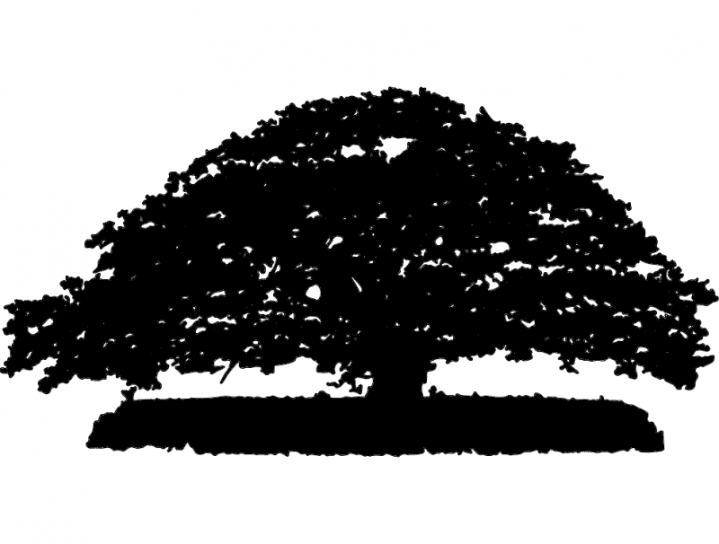 طرح درخت بزرگ مناسب برای استفاده در دستگاه های cnc چوب و cnc لیزر - big tree dxf file