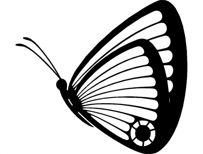 طرح پروانه شماره ۰۵ مناسب برای استفاده در دستگاه های cnc چوب و cnc لیزر - butterfly 05 dxf file