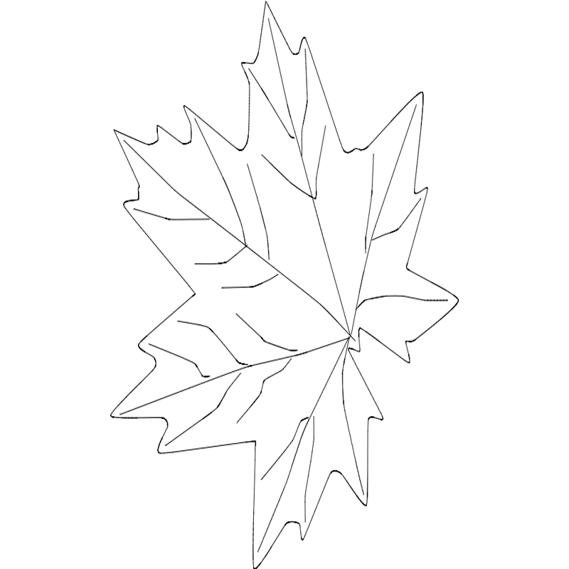 طرح برگ افرا مناسب برای استفاده در دستگاه های cnc چوب و cnc لیزر - maple leaf dxf file