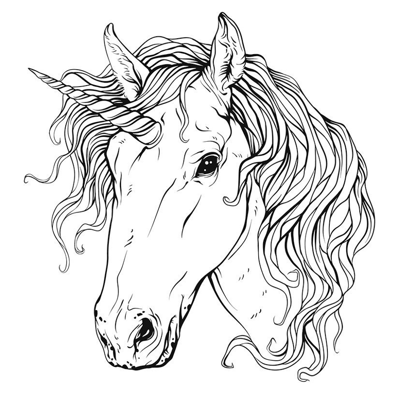 طرح سر اسب تک شاخ مناسب برای استفاده در دستگاه های cnc چوب و cnc لیزر - unicorn head cdr file