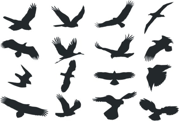طرح وکتور طرح پرنده (سیلوئت) مناسب برای استفاده در دستگاه های cnc چوب و cnc لیزر - bird silhouette vector dxf file