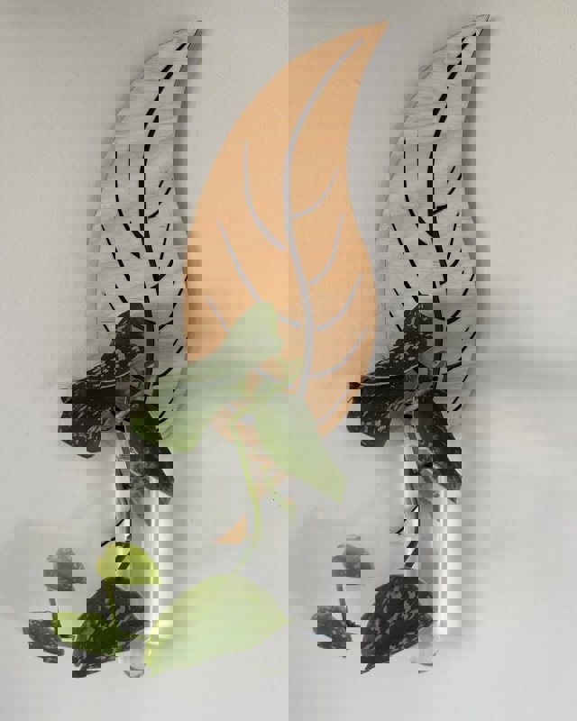 طرح کاشت دیواری به شکل برگ با برای گیاهان آپارتمانی، ایستگاه تکثیر گیاه، دکور دیوار مناسب برای استفاده در دستگاه های cnc چوب و cnc لیزر - laser cut leaf shaped wall planters for indoor plants plant propagation station wall decor