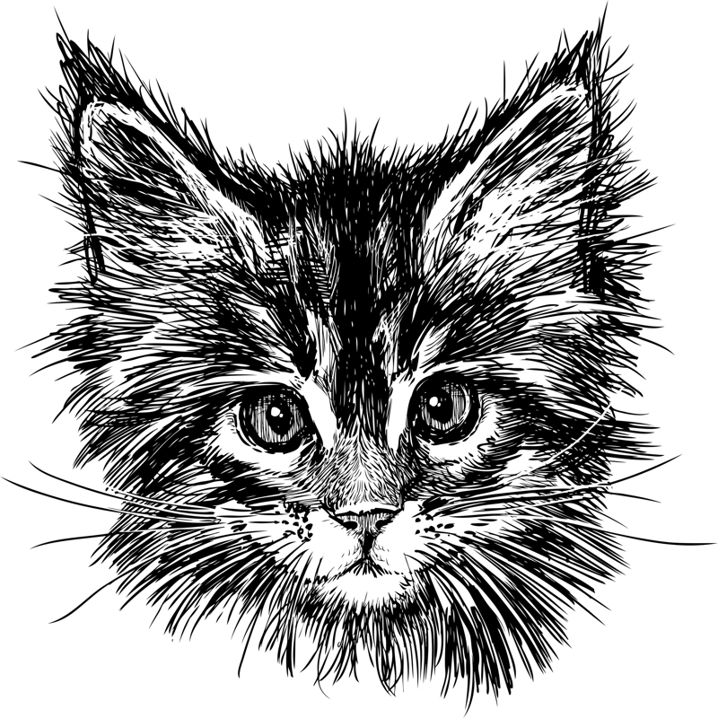 طرح گربه نقاشی شده با دست مناسب برای استفاده در دستگاه های cnc چوب و cnc لیزر - hand drawn cat cdr file